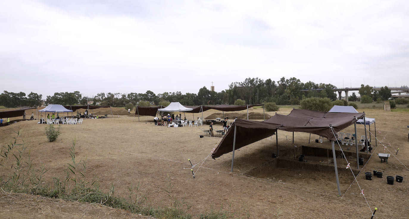 Fotos: Así Descubre Sus Tesoros El Cerro Del Villar | Diario Sur